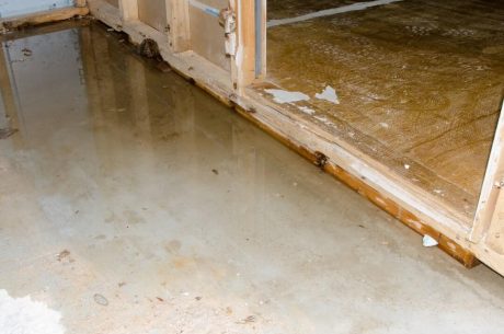 A Guide to Damage Restoration Services for Homeowners