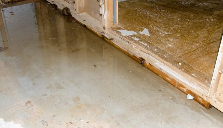 A Guide to Damage Restoration Services for Homeowners