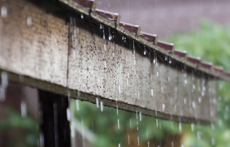 Safeguarding Your Stevensville Home from Spring Water Damage
