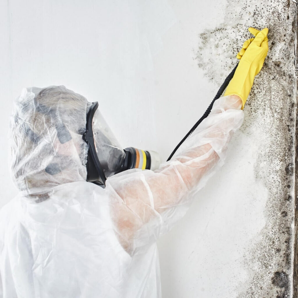 10 Myths About Mold Removal You Need to Stop Believing