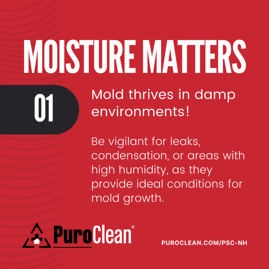 PuroClean in forms homeowners that moistures matters in mold growth