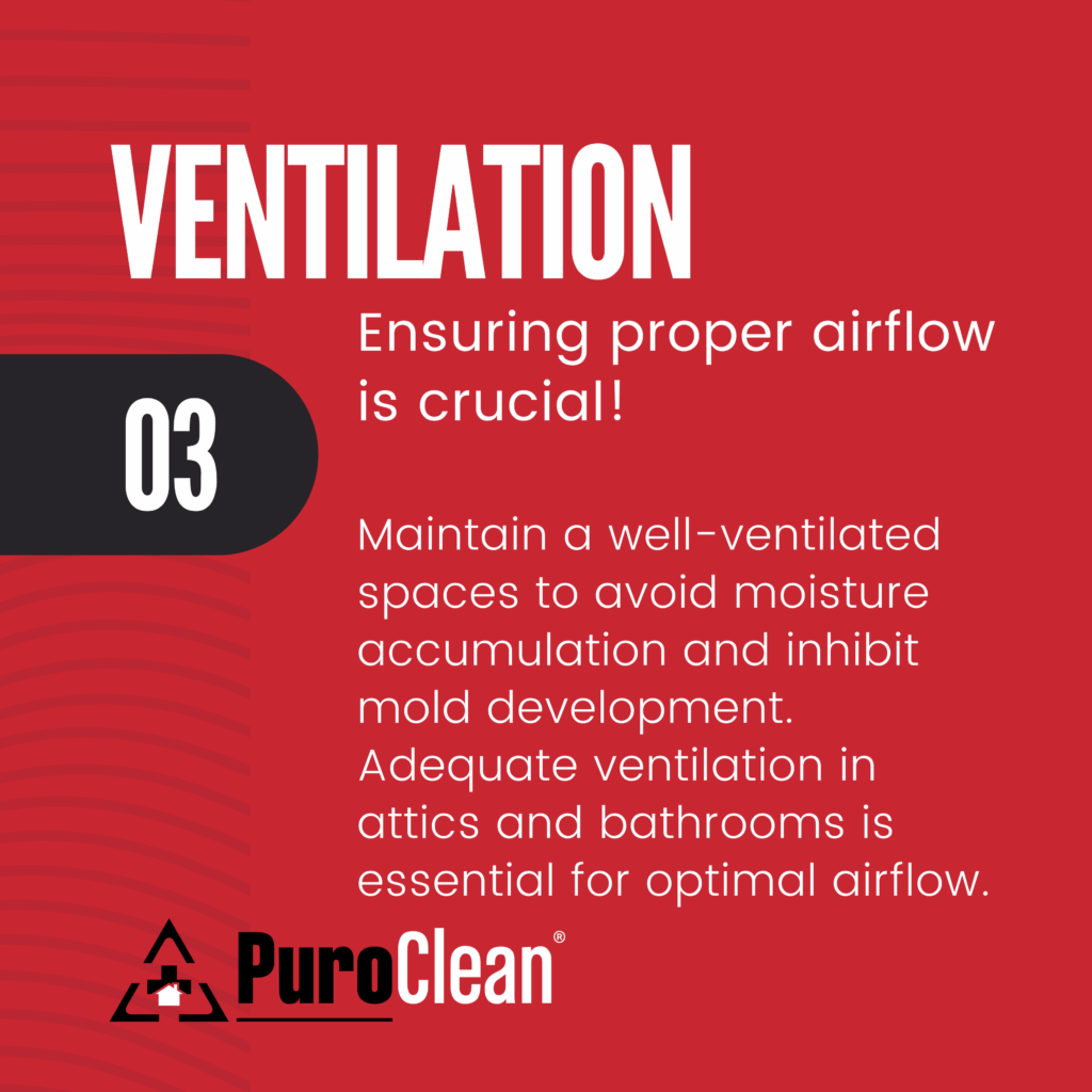 Mold Removal