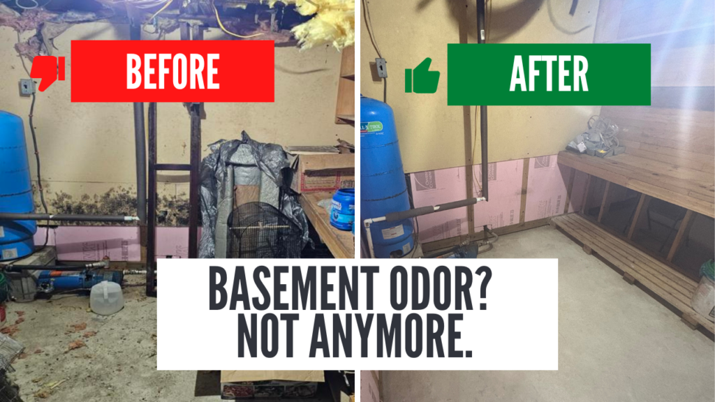 How to Get Rid of Musty Basement Smells: Southern New Hampshire’s Complete Odor Control & Prevention Guide