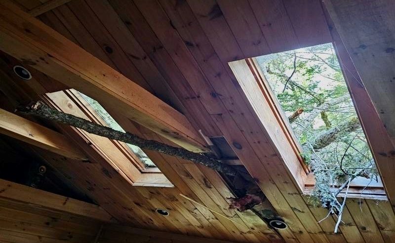 Roof Damage and Falling Debris Severe storms often bring strong winds that can cause roof damage or lead to falling debris crashing into homes. This can result in heavy rainwater entering your property, causing extensive interior damage.
