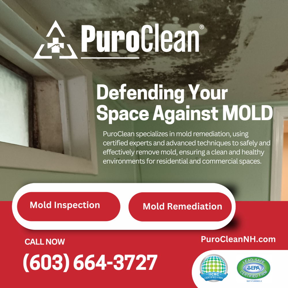 Defending your space against mold