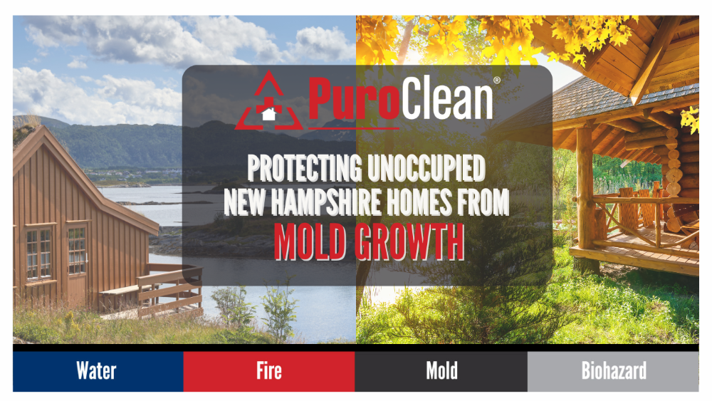 PROTECTING UNOCCUPIED NEW HAMPSHIRE HOMES FROM MOLD GROWTH