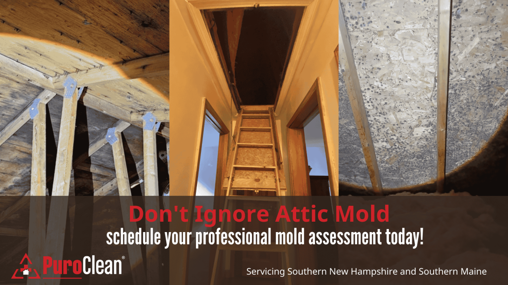 Mold in the Attic: What You Need to Know as a Homebuyer or Seller in New Hampshire