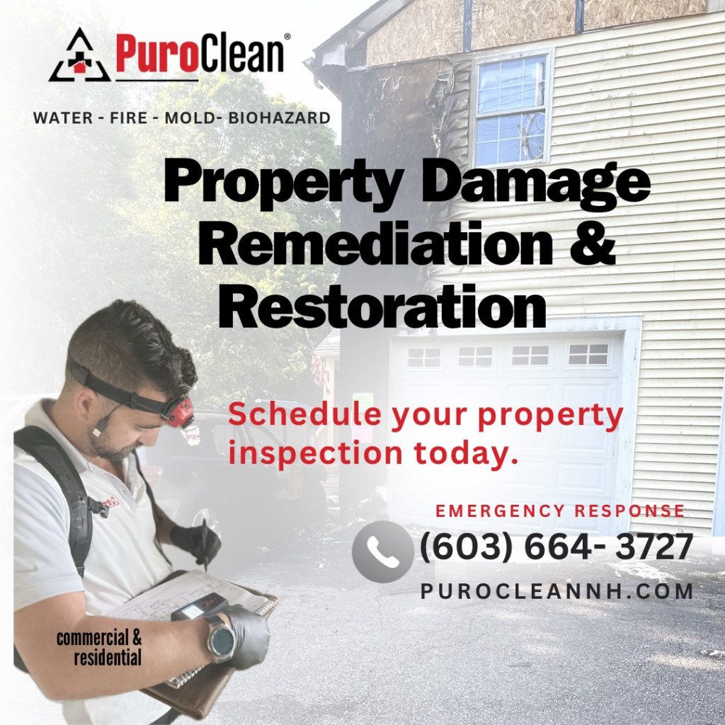 PuroClean of Strafford County Property Damage Assessments to Fall Home Maintenance: Prevent Basement Humidity, Attic Mold & Water Leaks