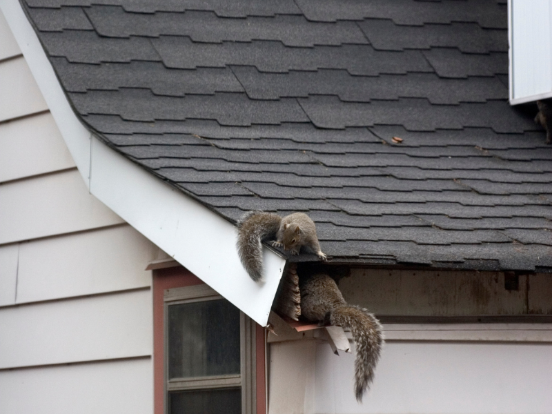 Prevent Basement Humidity & Attic Mold