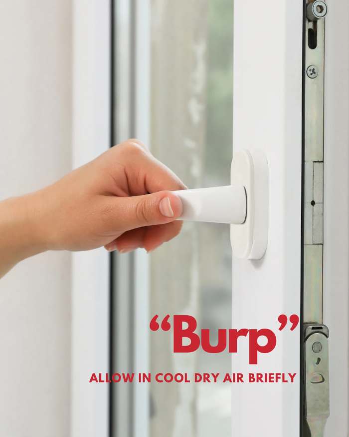 How to “Burp” a Basement After Water Damage: Rapid Humidity Reduction for New England Homes