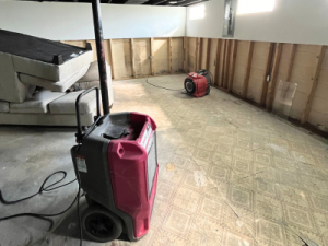 Basement flood cleanup in progress in Waterford Township home with drywall removed and drying equipment running.