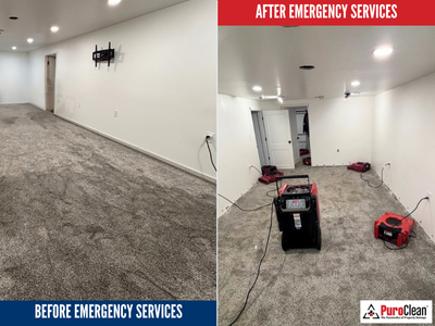 Residential Water Damage Restoration: Why Early Detection Is Critical