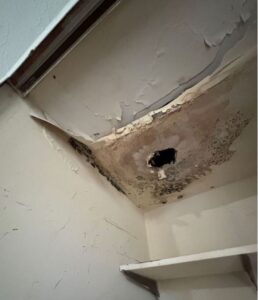 Mold damage on a drywall ceiling featuring peeling paint, a small hole, and dark black spots caused by water leaks.