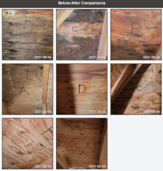 attic mold cleanup tacoma