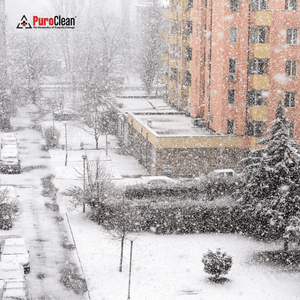 Heavy snow falls over a residential area with an apartment building, trees, and parked cars