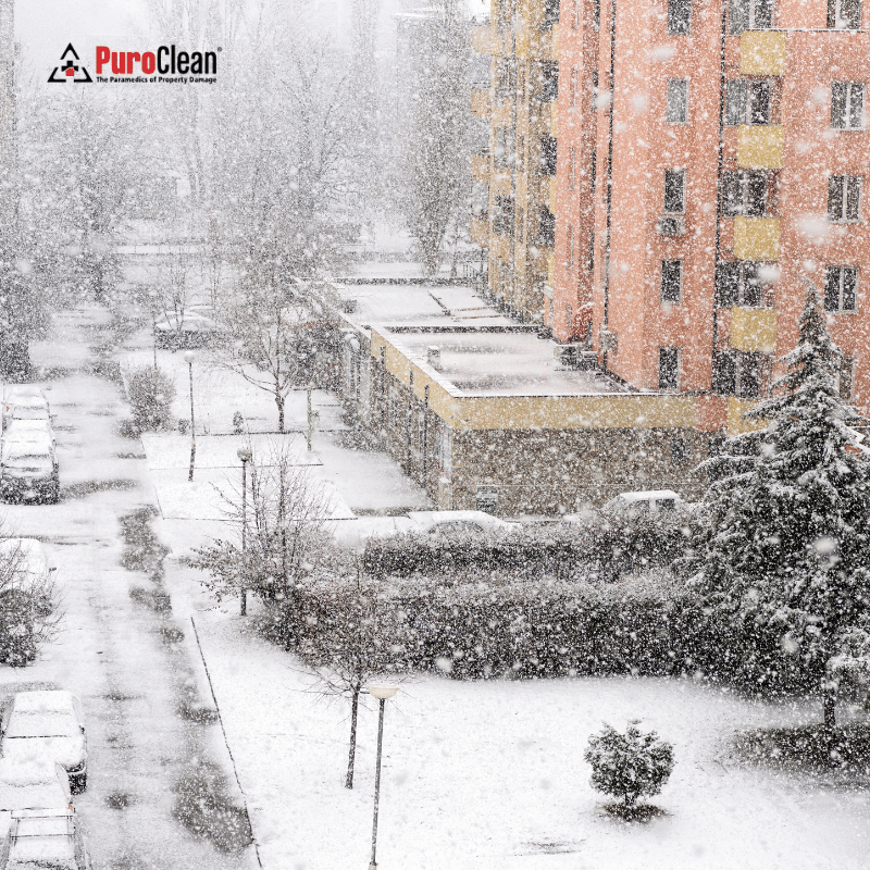 Heavy snow falls over a residential area with an apartment building, trees, and parked cars