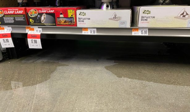 water damage