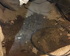 sewage
