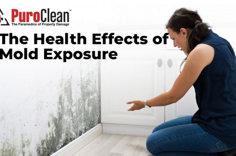 Serious Health Effects of Mold Exposure: How to Protect Yourself and Your Home