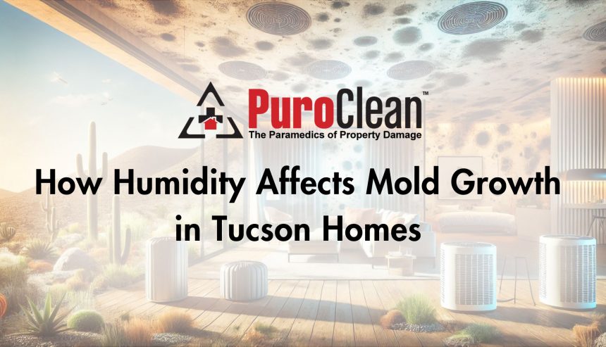 How Humidity Affects Mold Growth in Tucson Homes