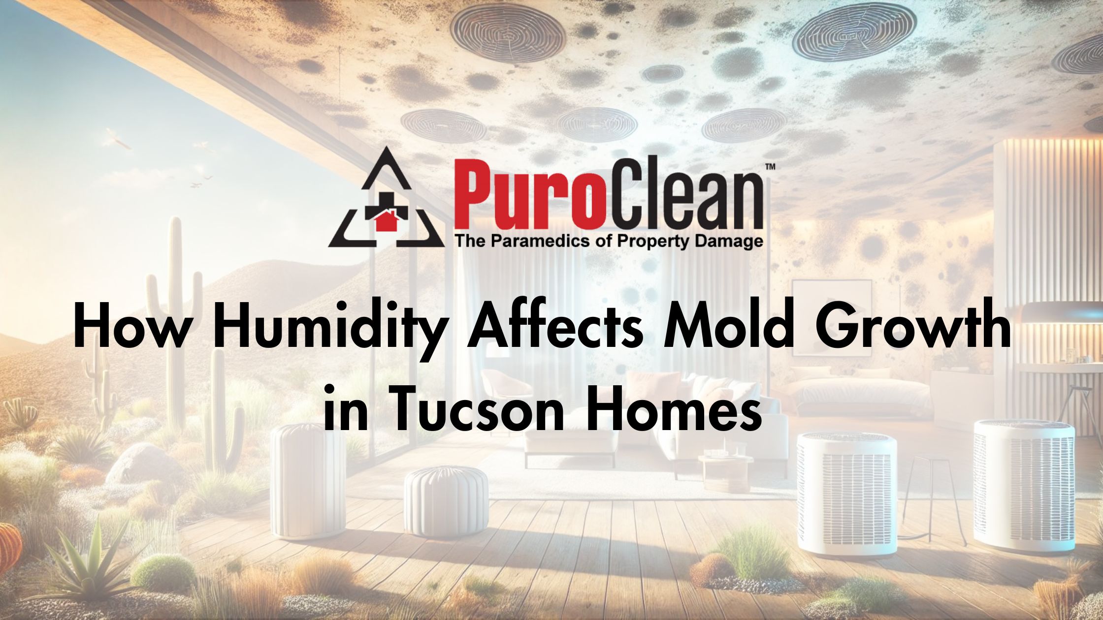 How Humidity Affects Mold Growth in Tucson Homes 