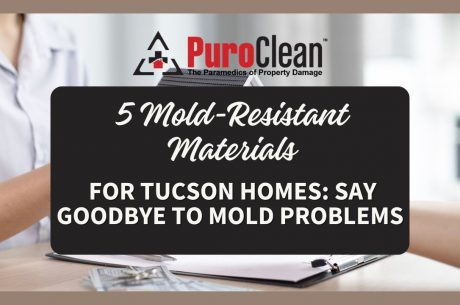 Mold-Resistant Materials