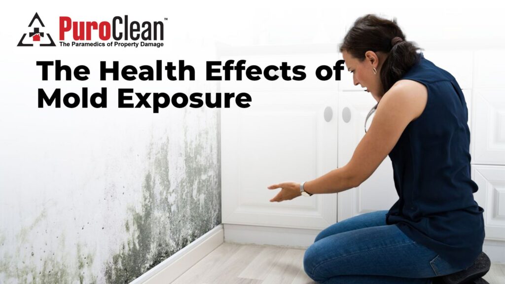 Serious Health Effects of Mold Exposure: How to Protect Yourself and Your Home