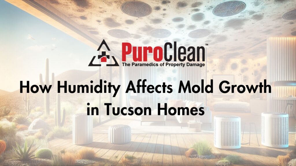 How Humidity Affects Mold Growth in Tucson Homes