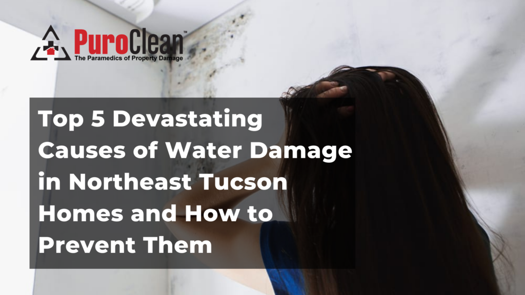 Top 5 Devastating Causes of Water Damage in Northeast Tucson Homes and How to Prevent Them