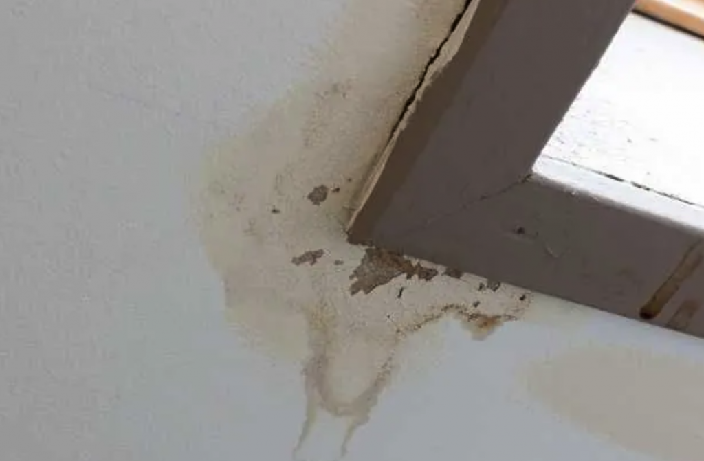 5 Hidden Signs You Need Attic Mold Cleanup in Van Nuys