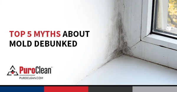 Mold Myths