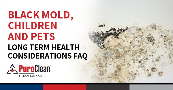Black mold
