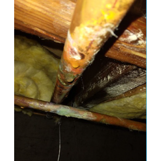 burst pipe water damage cleanup port charlotte photo