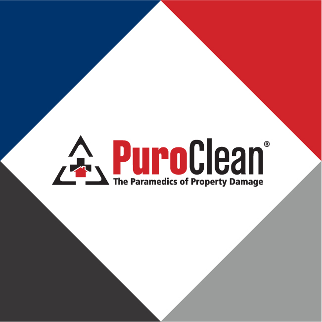 PuroClean logo featuring a triangular design and the tagline "The Paramedics of Property Damage" on a colored background.