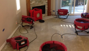A room with bare concrete floors is being dried by multiple red industrial fans and air movers