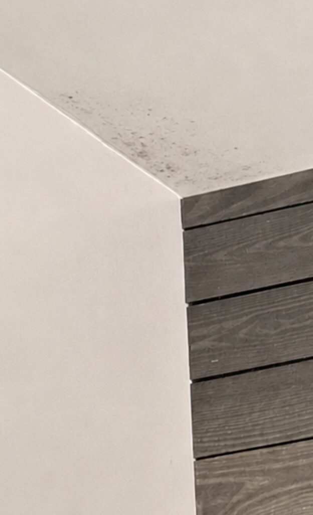 Visible mold stains a white ceiling corner above a light wall and dark wood. TITLE