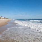 Current image: Beach houses line a sunny sandy shore with gentle ocean waves under a bright blue sky. TITLE