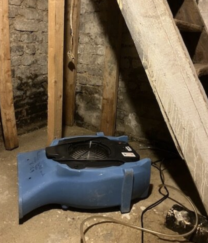 How Do You Dry a Flooded Basement? - PuroClean of Vineland