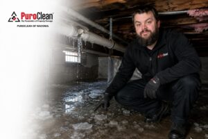 PuroClean technician inspecting frozen pipe water damage in a flooded crawl space