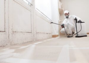 Mold Remediation Services