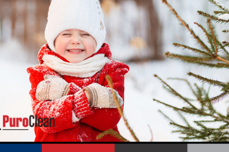 healthy winter kid in snow