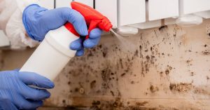 Mold Remediation