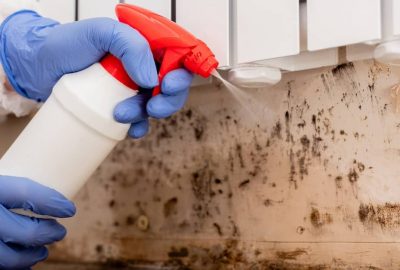 Mold Remediation