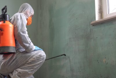 Professional Mold Remediation