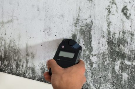 Surprising Risks Found During a Professional Mold Inspection in Wakefield