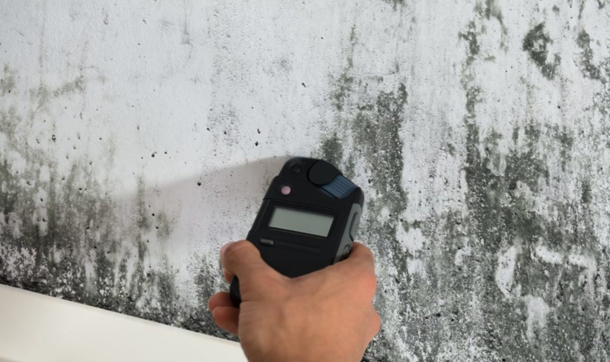 Surprising Risks Found During a Professional Mold Inspection in Wakefield