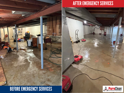 Residential Water Damage Restoration: Why Early Detection Is Critical