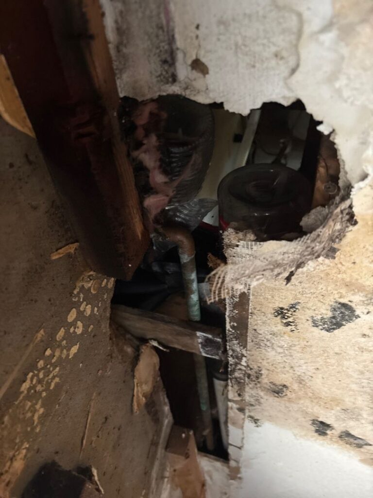A close-up view looking into a hole in a plaster and lath wall, revealing exposed plumbing pipes, wooden studs, and significant water damage and mold growth inside the wall cavity.