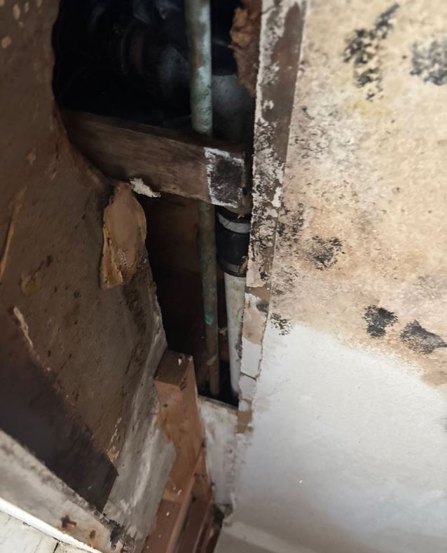Cut-open drywall wall cavity exposing plumbing pipes and extensive water damage covered with dark clusters of black spots from mold growth.