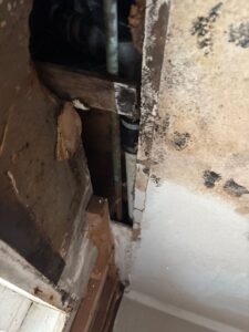 Severe water damage and toxic black mold growth around exposed pipes inside a ceiling cavity.